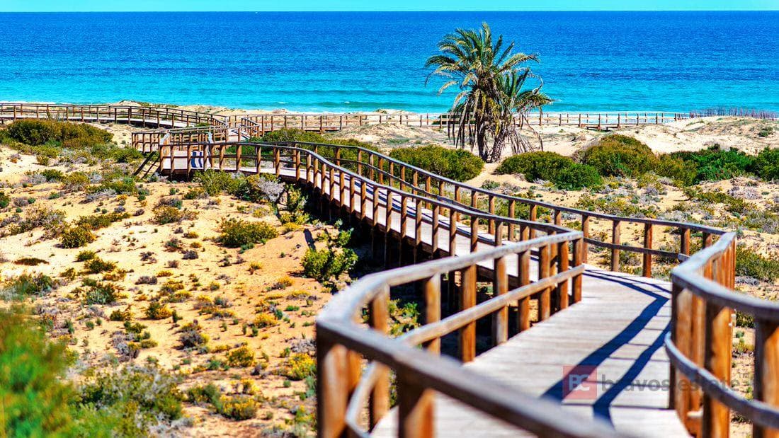 Beachside 2-Bedroom Apartment in Elche - 5