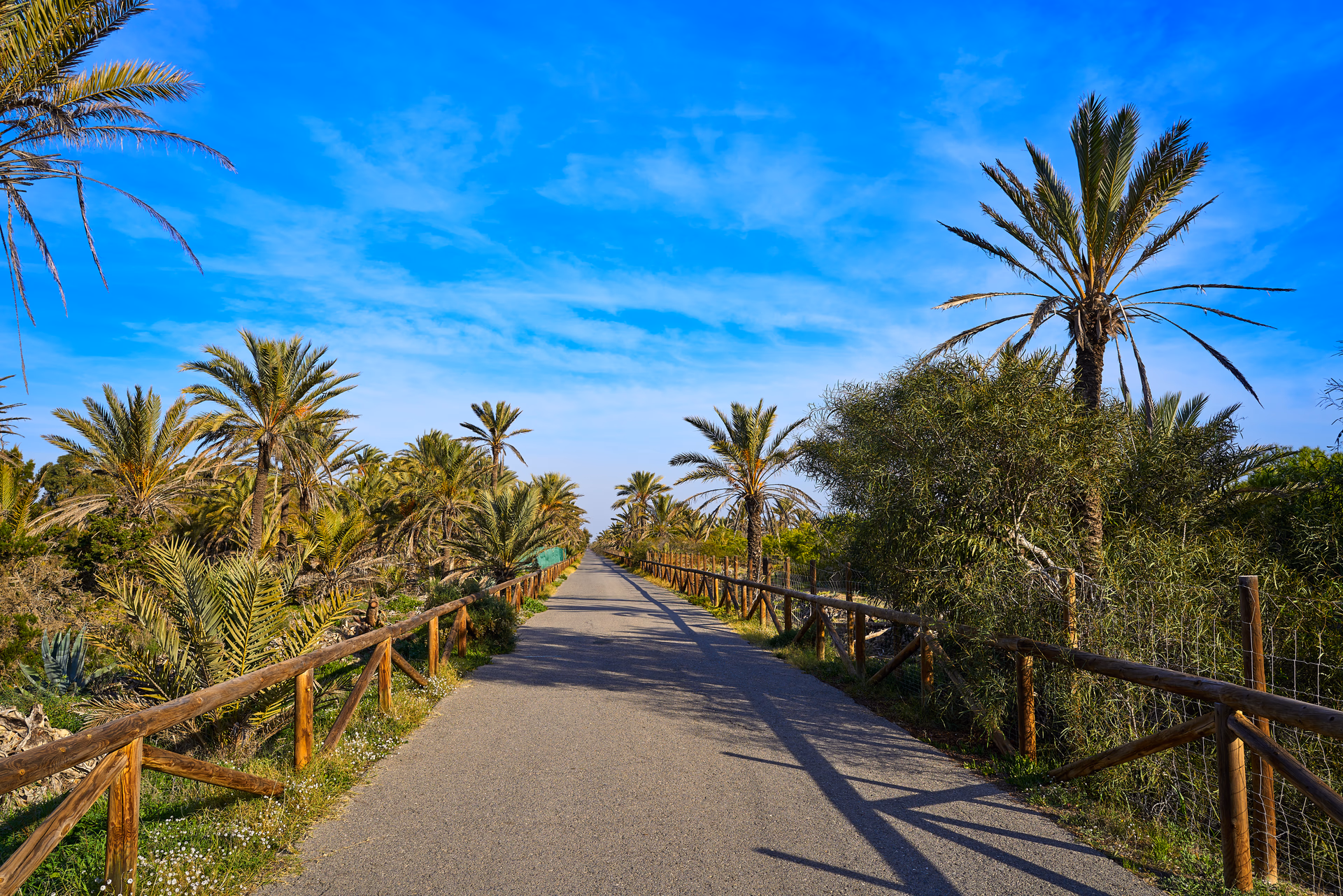 Guardamar del Segura