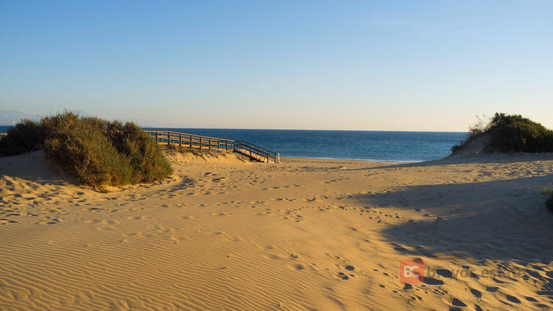 Beachside 2-Bedroom Apartment in Arenales del Sol - 3