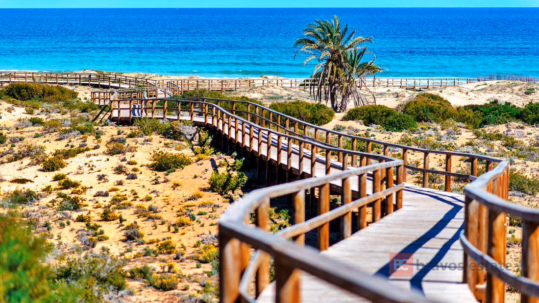 Beachside 2-Bedroom Apartment in Arenales del Sol - 5