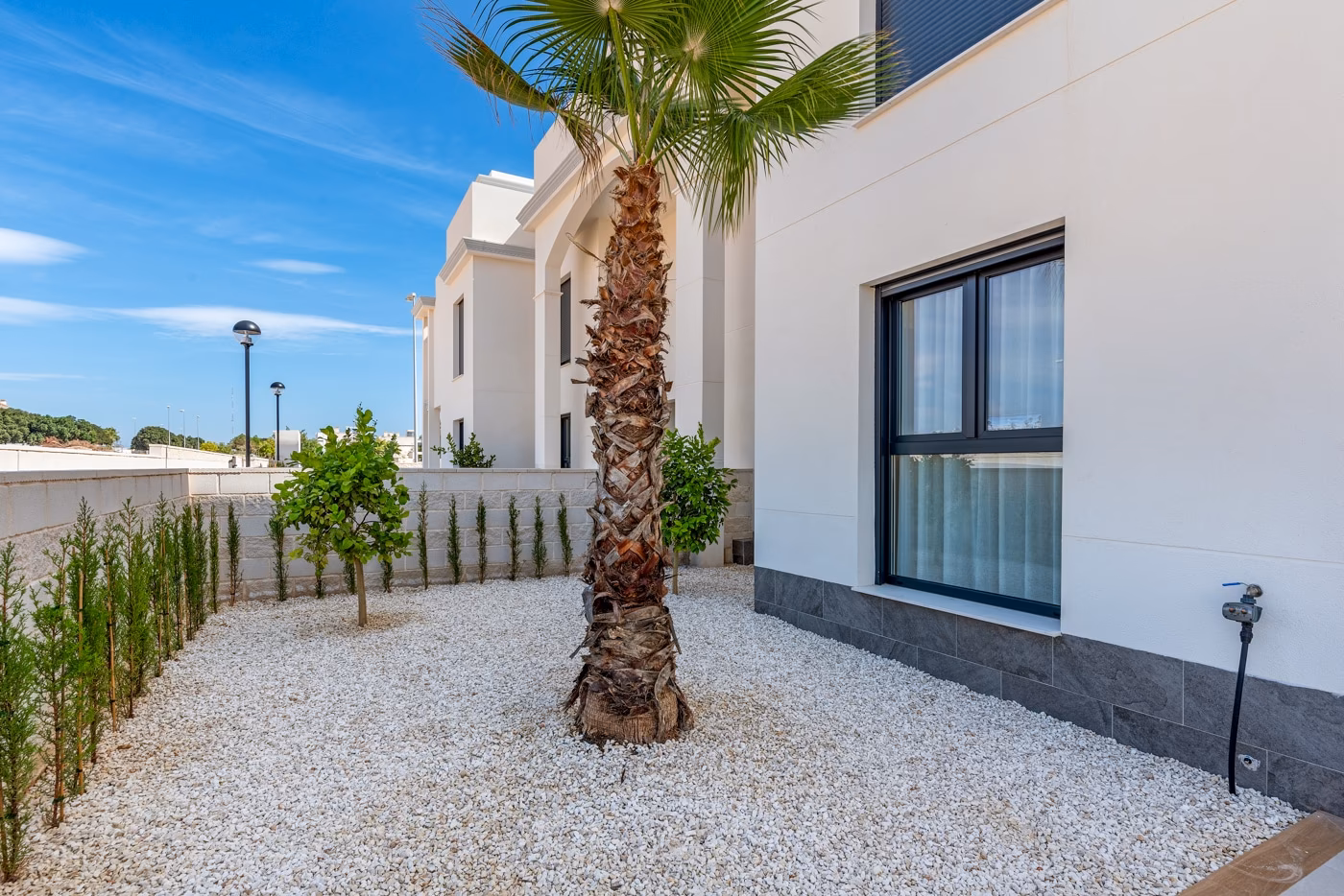 Side garden laid with gravel around a palm tree