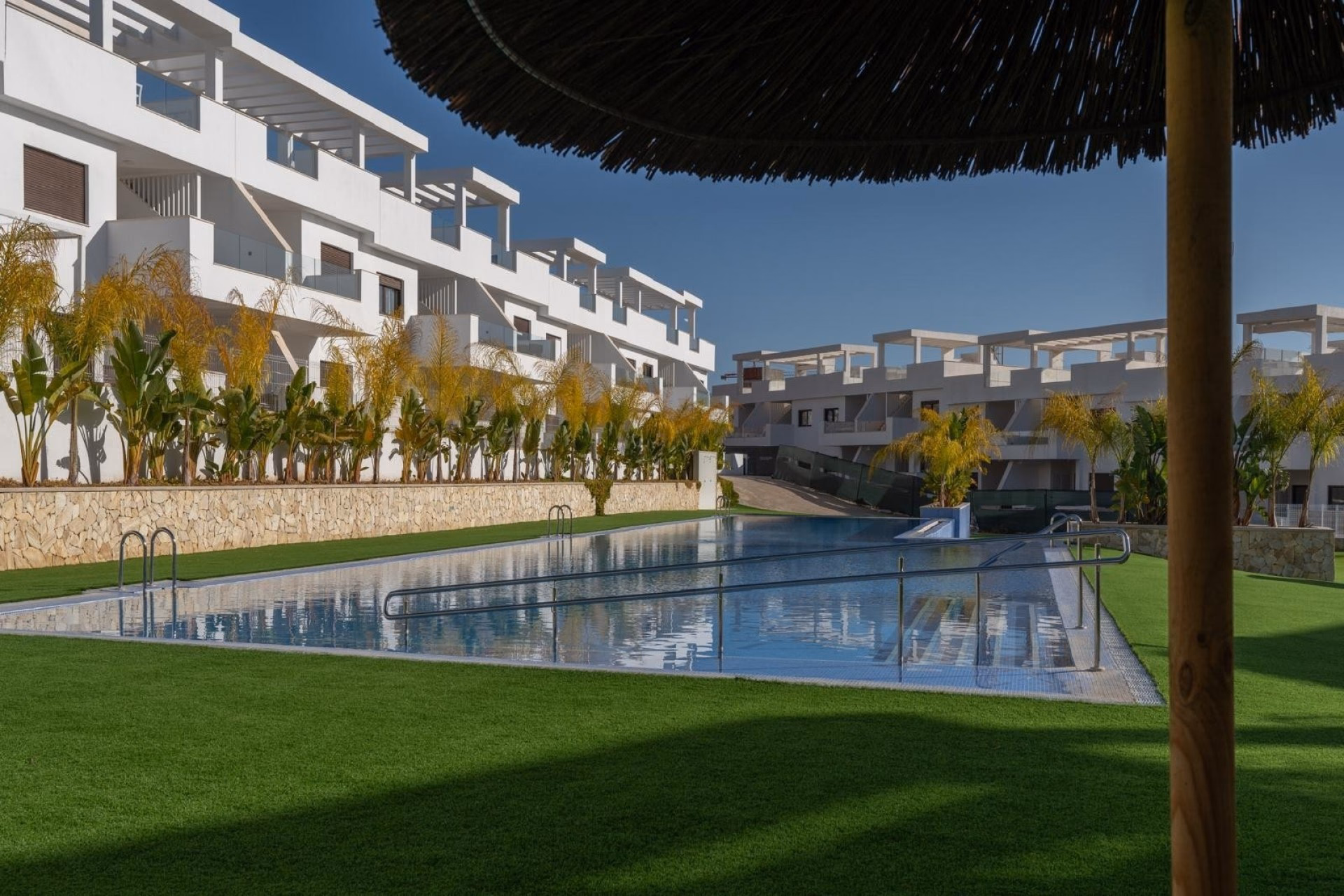 Lawns and pool of the complex with the residential blocks behind