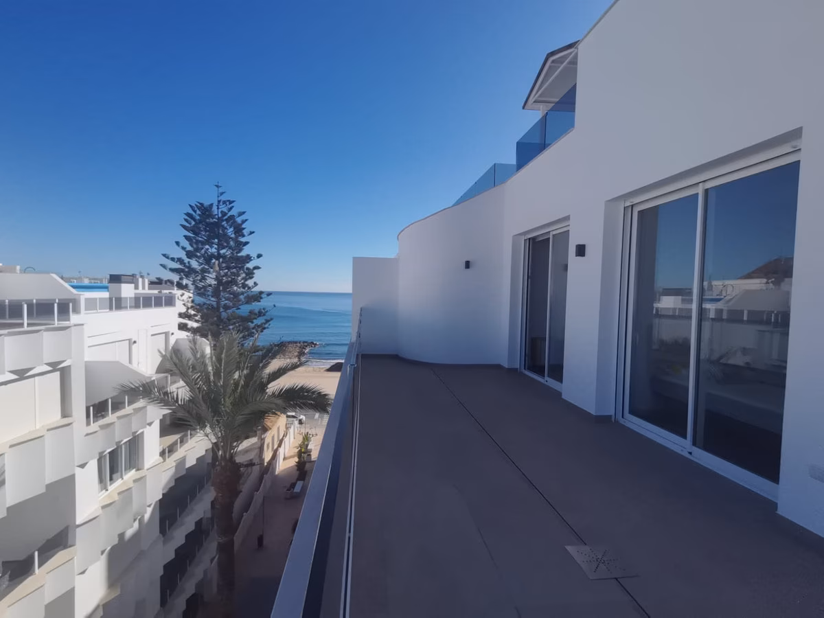 Lange Penthouse-Terrasse mit Glasbrüstung und Blick hinunter aufs Meer und die Palmen der Promenade