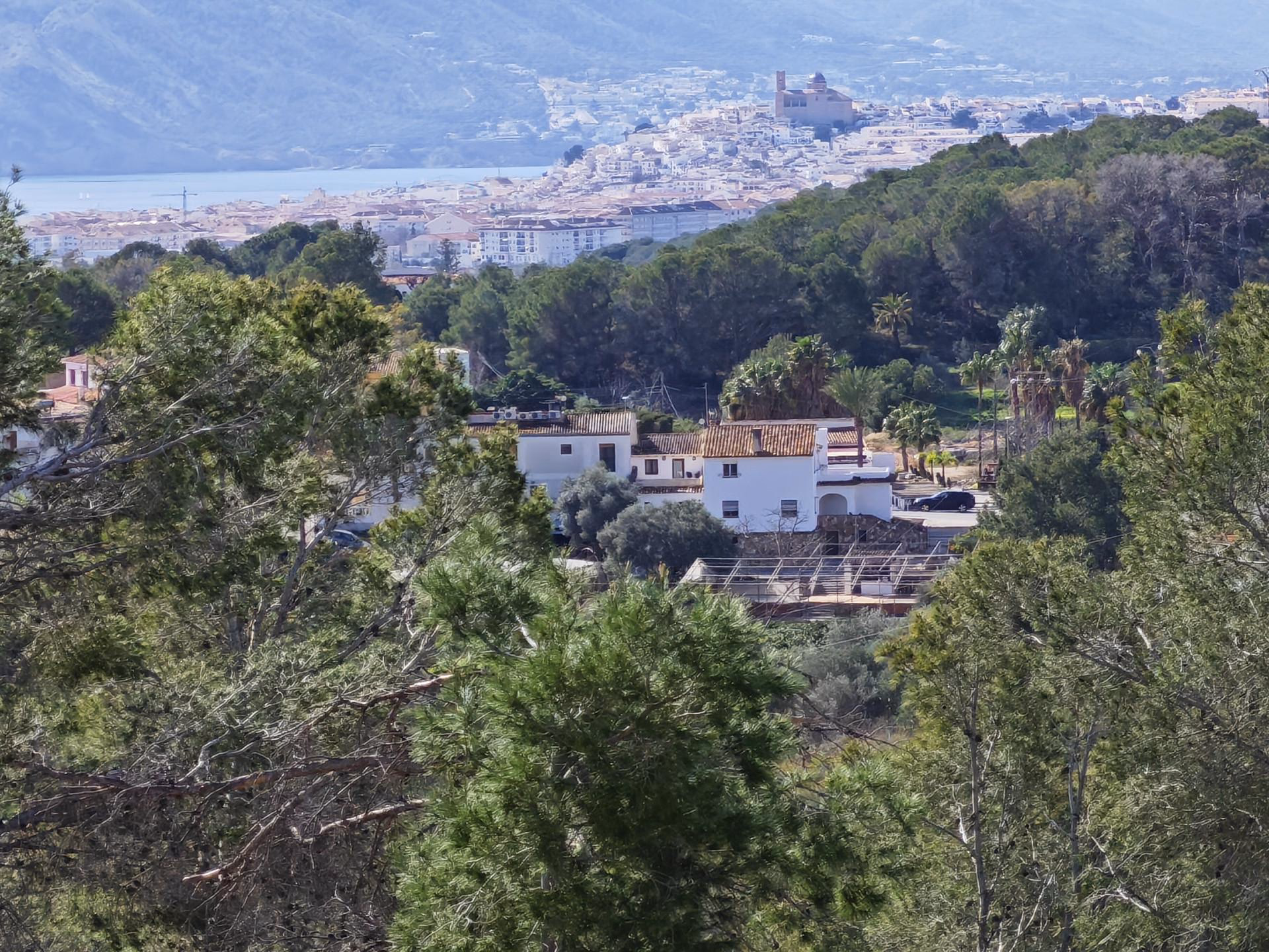 View from the villa over the pine-covered valley to Altea and the sea