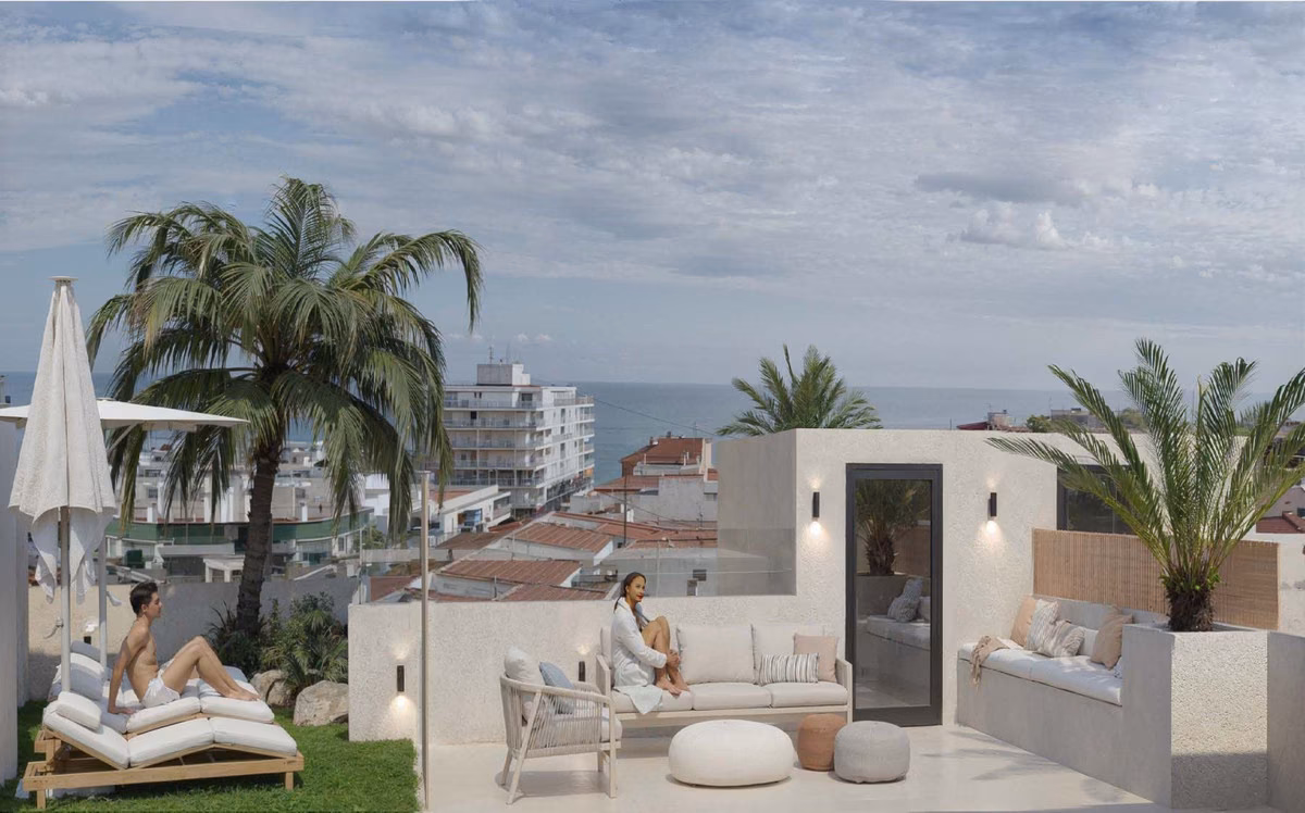Rooftop terrace with sun loungers, lounge area and palms at Edificio Antonella