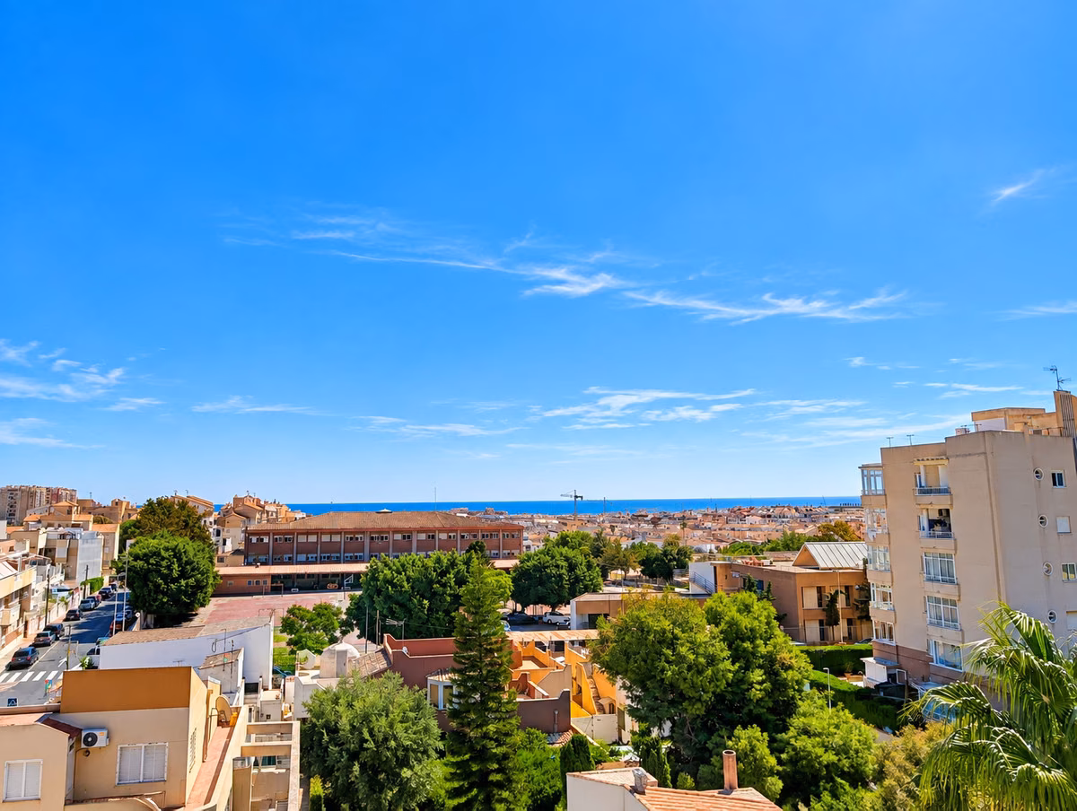 Vue sur la ville et les arbres jusqu’à la mer au nord de Torrevieja