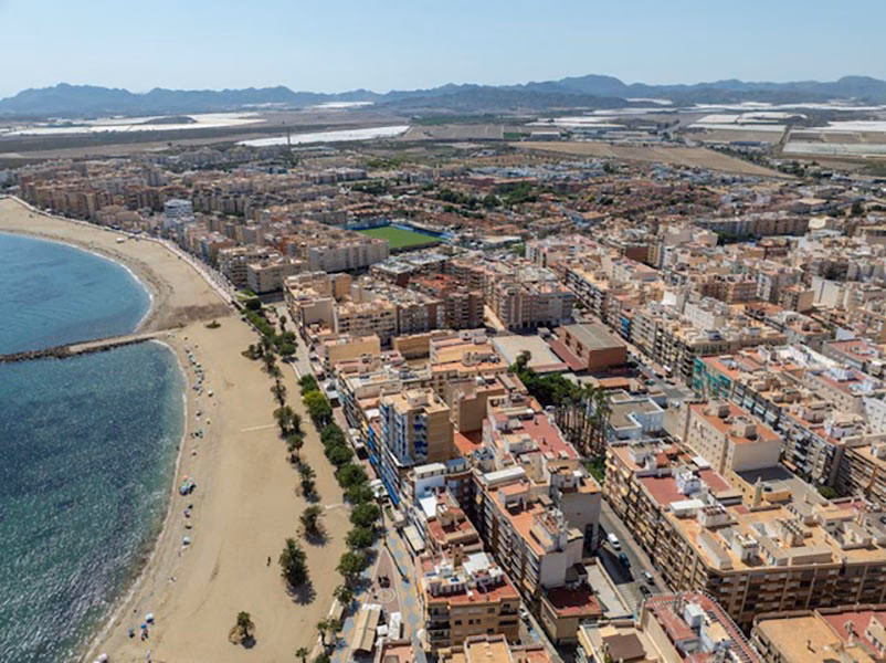 Playa de arena y paseo con palmeras desde el aire