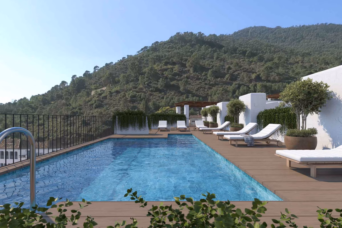 Rooftop pool above the wooded gorge