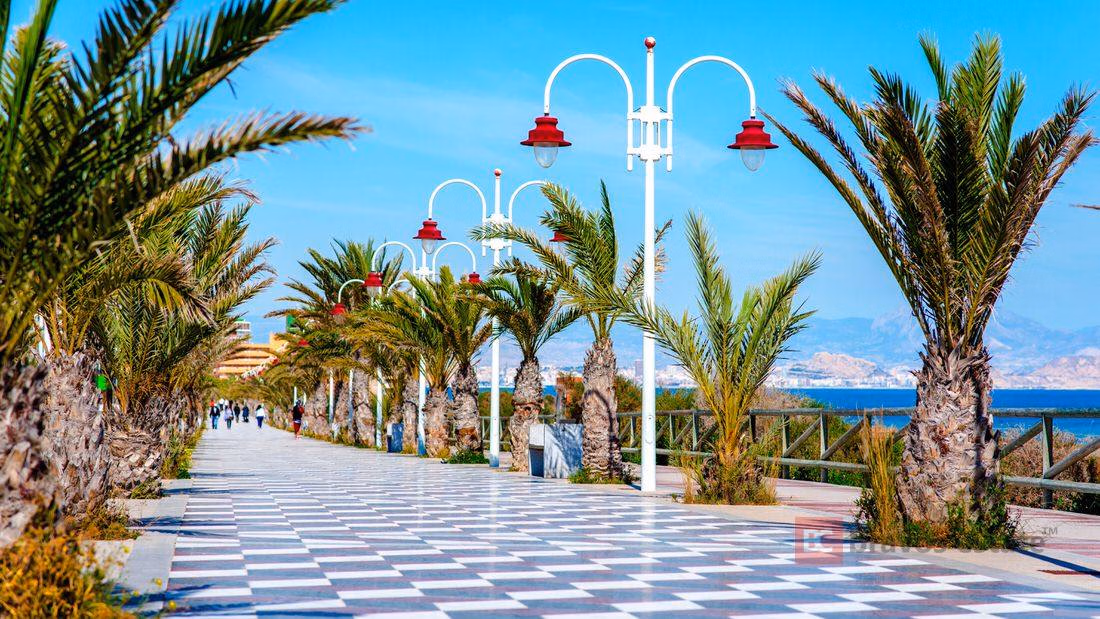 Beachside 2-Bedroom Apartment in Arenales del Sol - 4