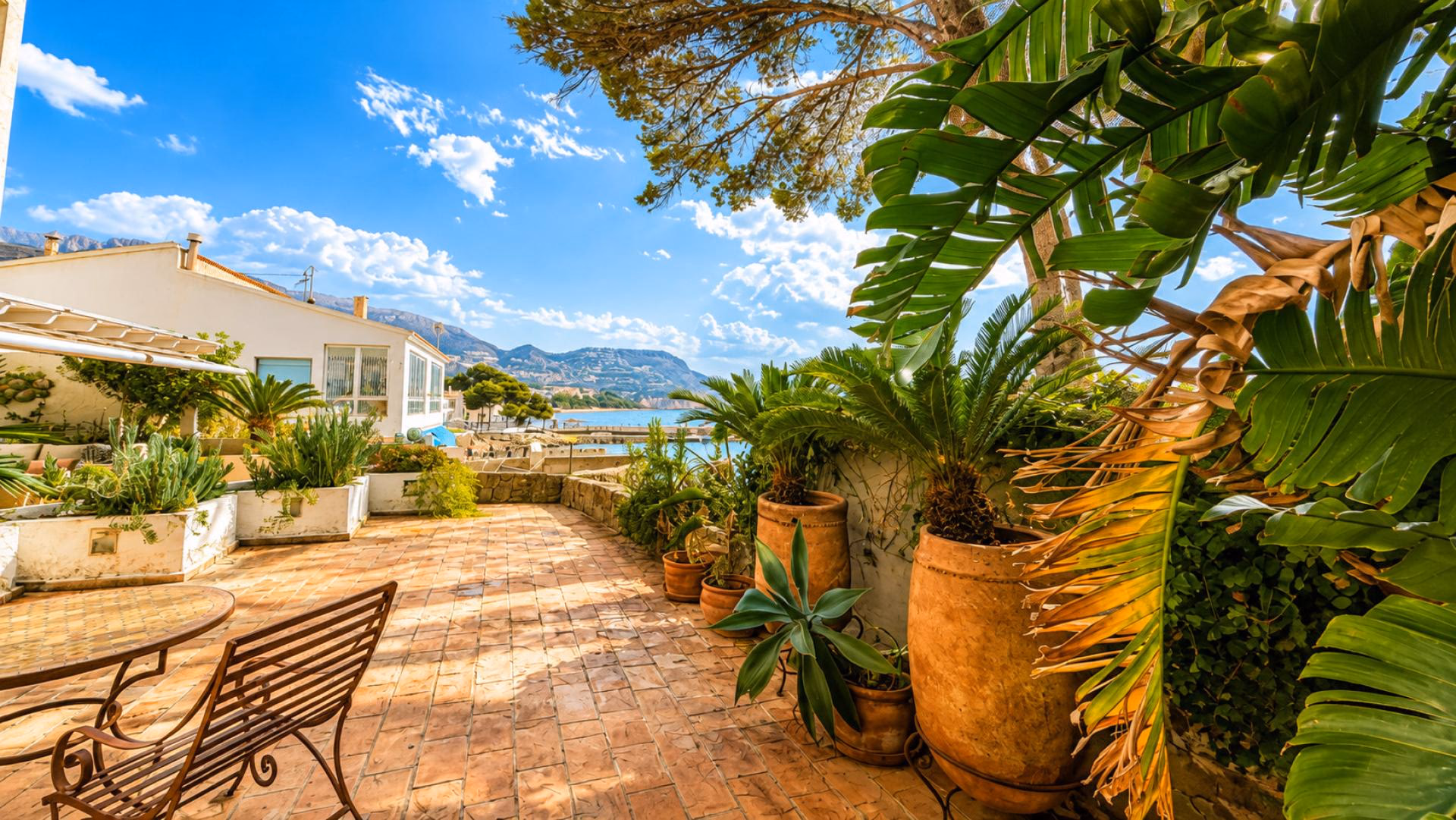 Geflieste Gartenterrasse mit Palmen in Kübeln und einer schmiedeeisernen Bank