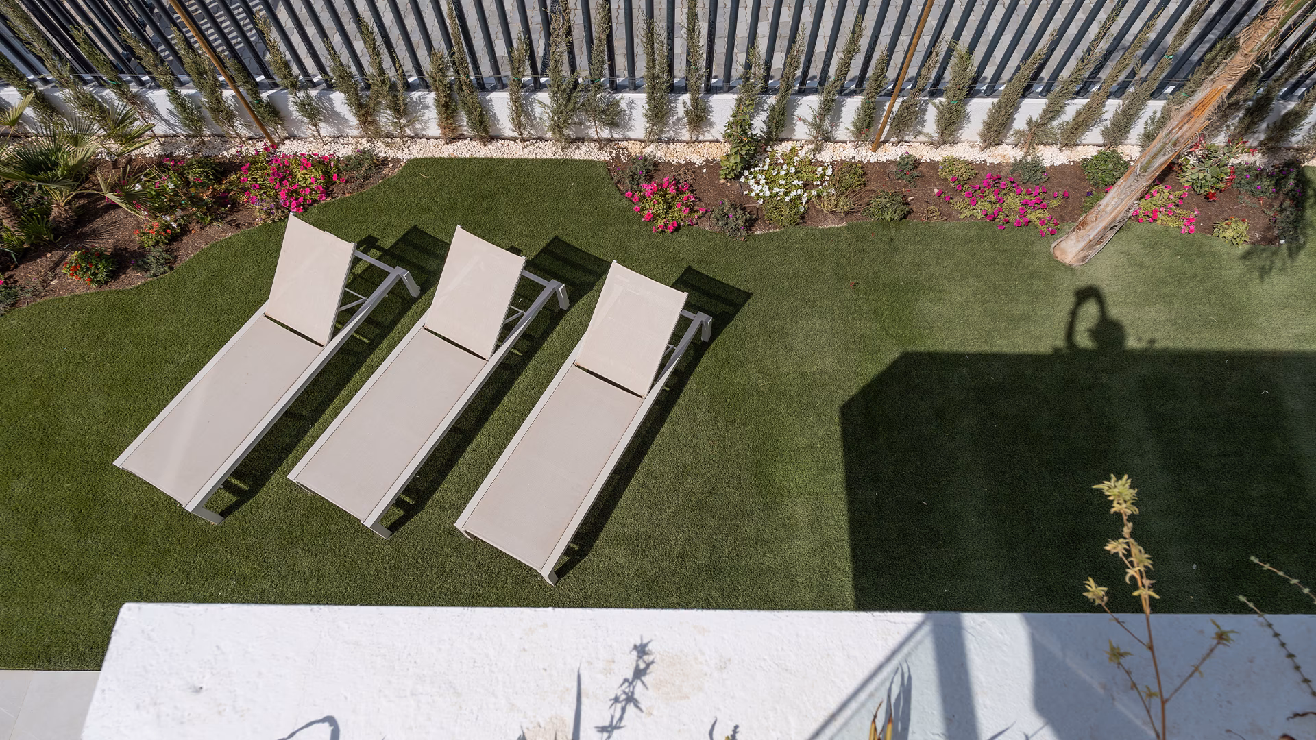 Aerial view of loungers on the lawn