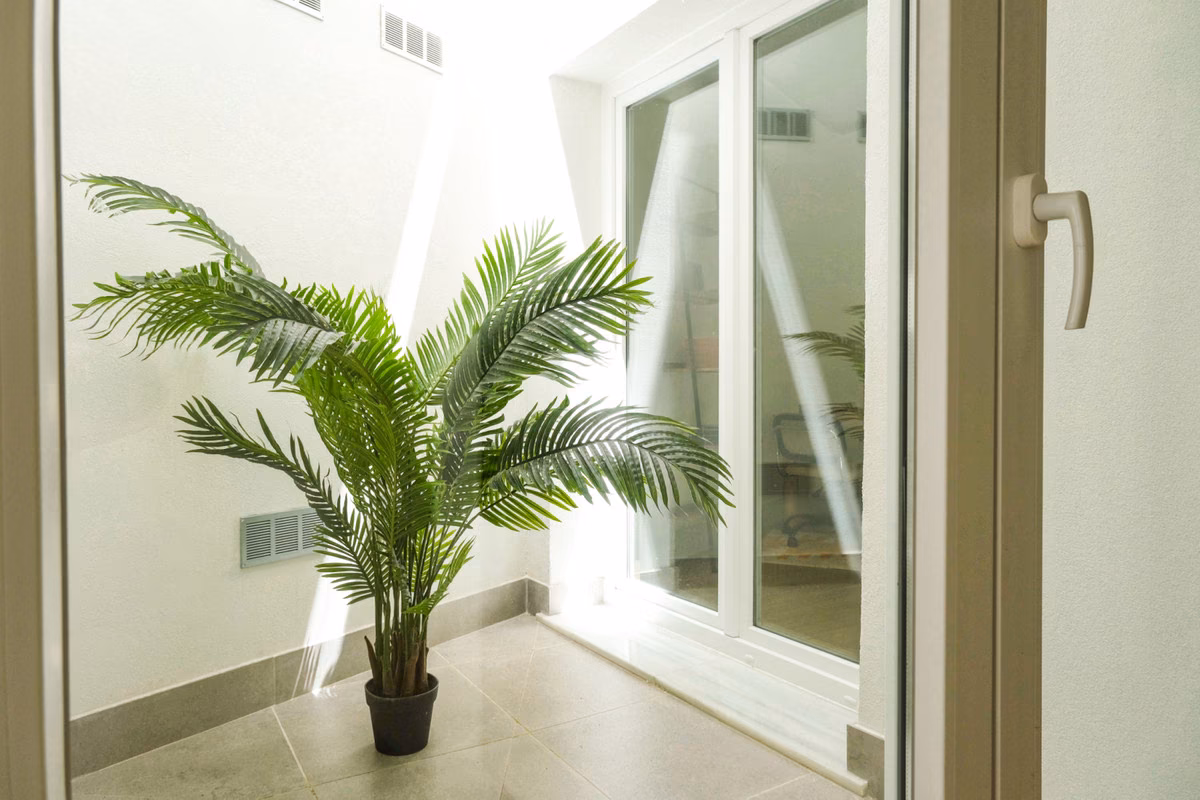 Kleiner Innenhof mit Palme hinter Glastüren in Monte Sancha 28