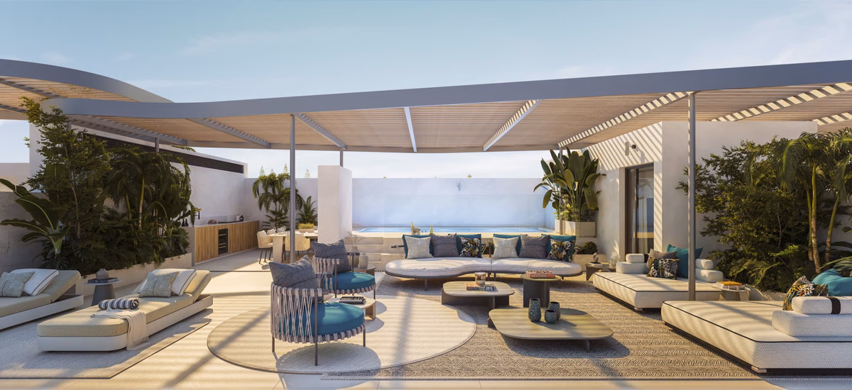 Roof terrace with a pergola, sofas and planting