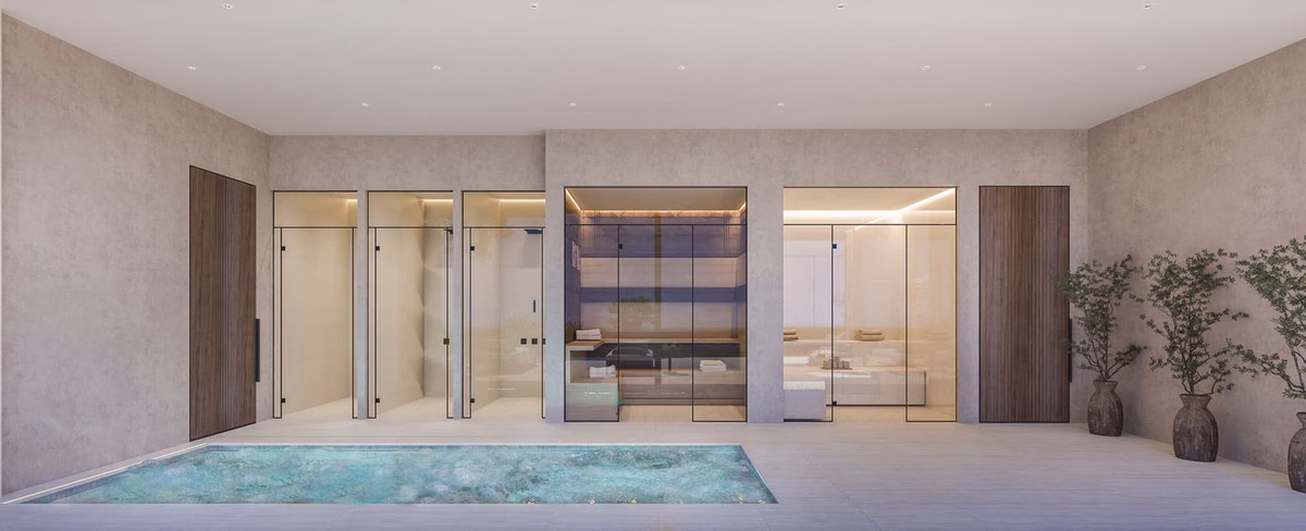 Spa with a plunge pool, sauna cabin and glass doors