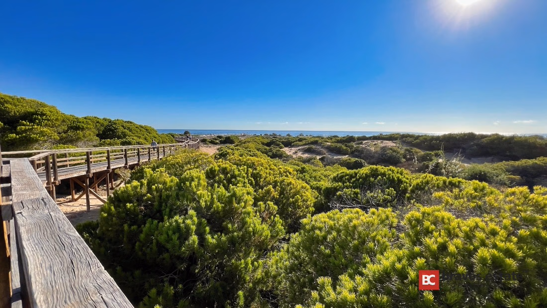 Beachside 3-Bedroom Apartment in Arenales del Sol - 18