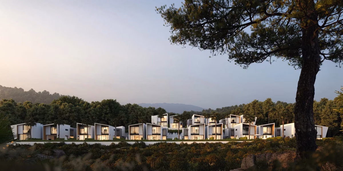 Row of homes at dusk beneath the pines at Pine Valley Villas