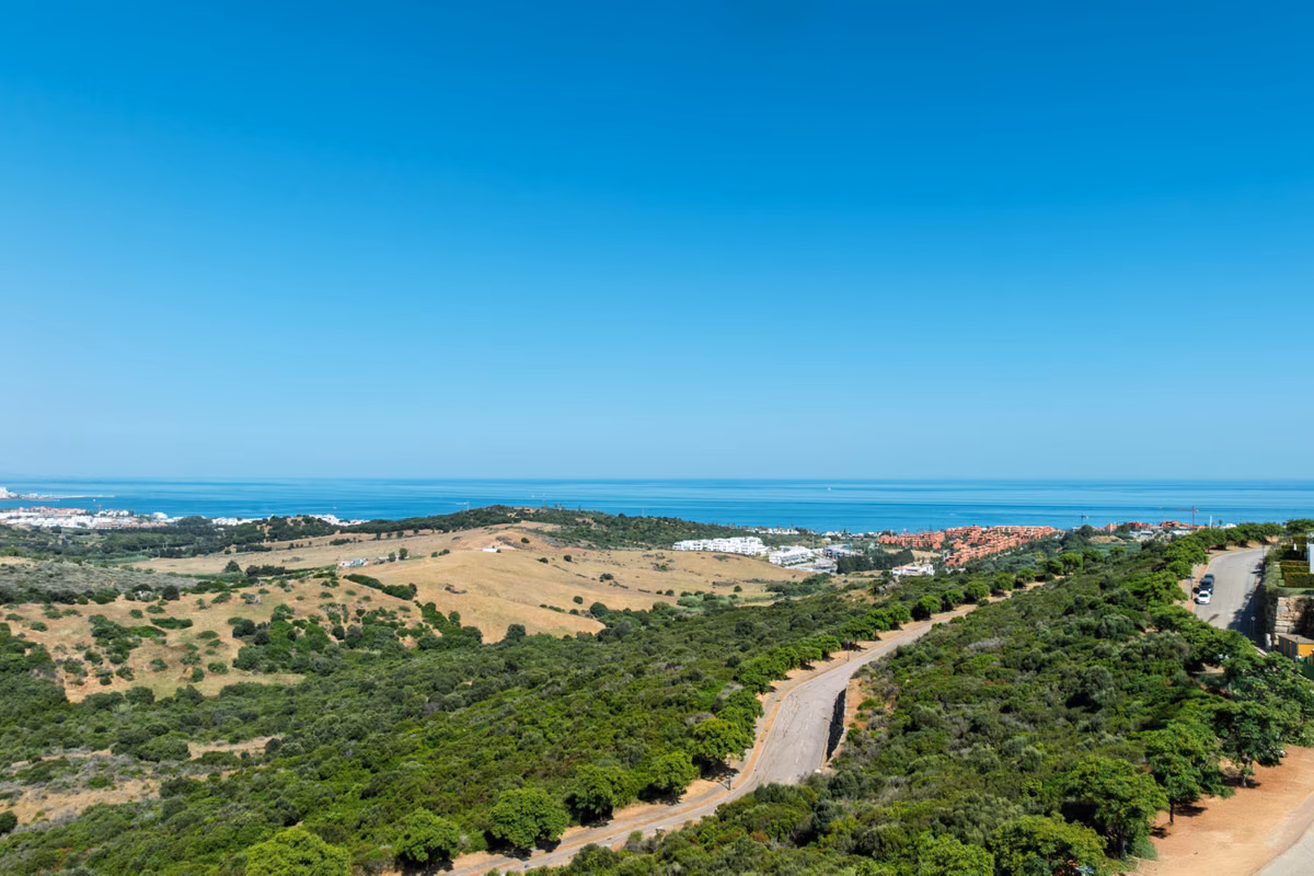 View from the hillside over the woodland to the sea