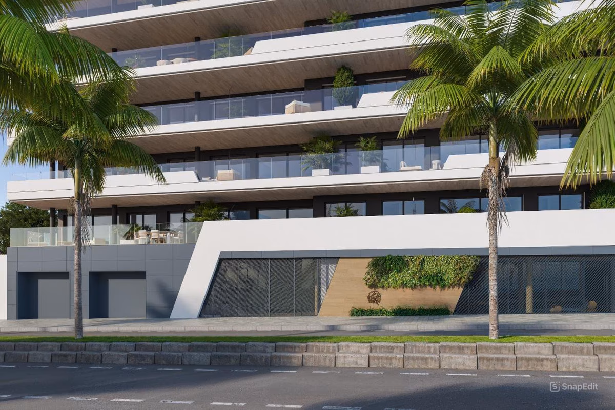 Street-level entrance with palm trees at Torre Biznaga