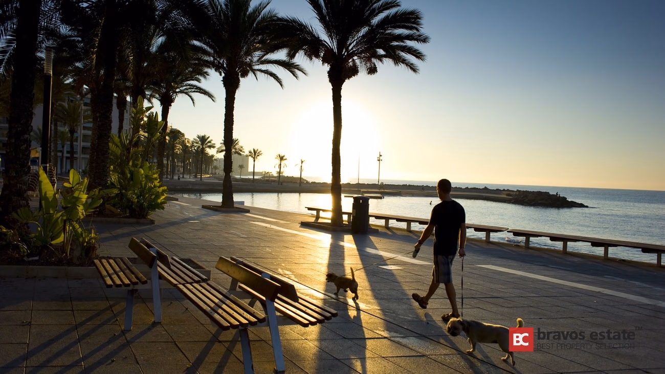 Apartamento Frente al Mar de 3 Dormitorios en Punta Prima - 40